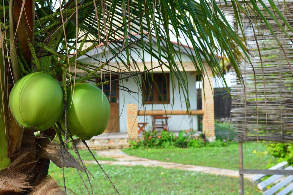 Pousada Oceania Taiba Exterior photo